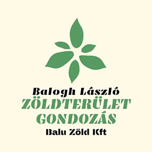 Bízza rám online marketingjét, közösségi média kampányát